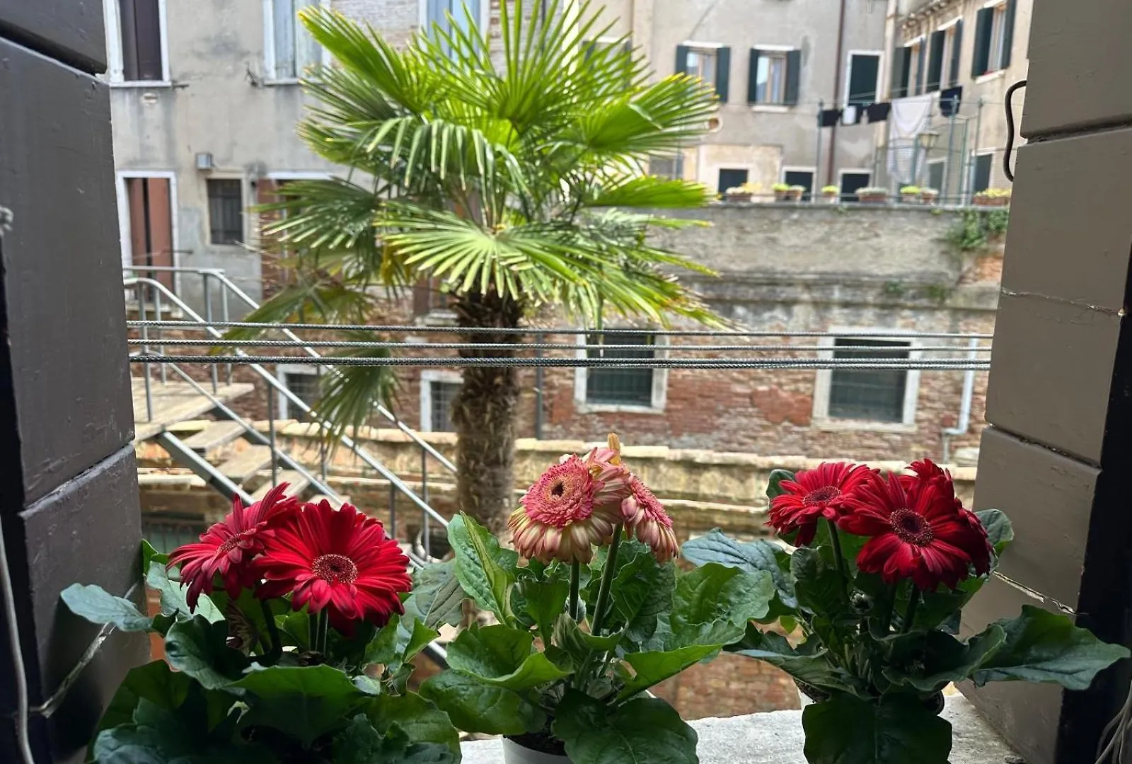 Queen Venice Apartment