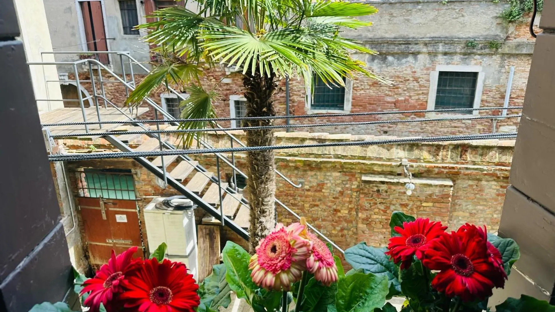 Queen Venice Apartment
